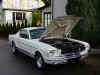 Mustang 13.jpg (21630 Byte)