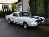 Mustang 14.jpg (20299 Byte)